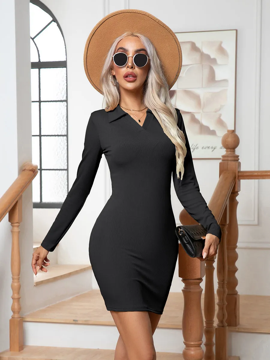 Long Sleeve Mini Dress